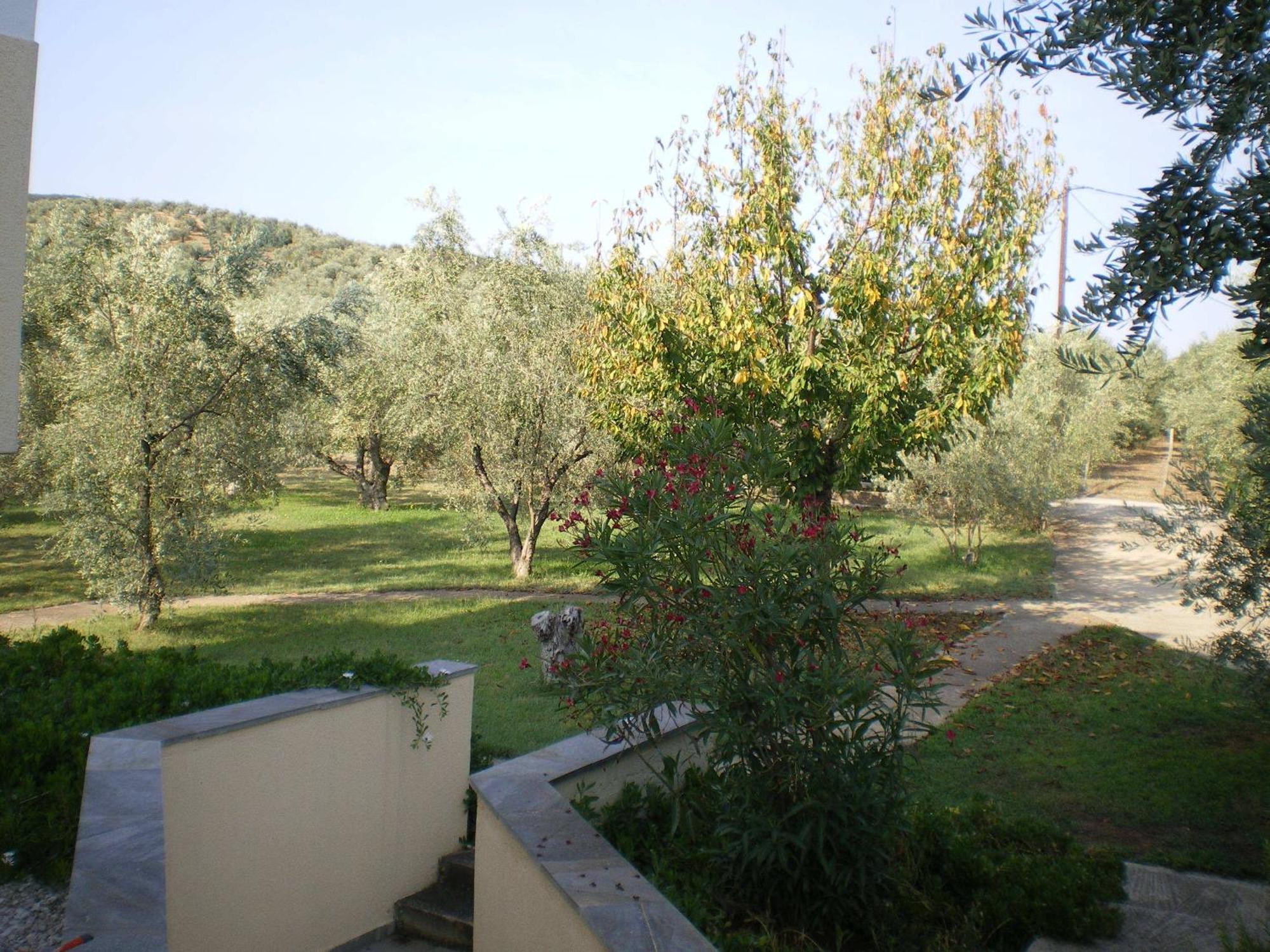 Villa Christina Amaliápoli Buitenkant foto